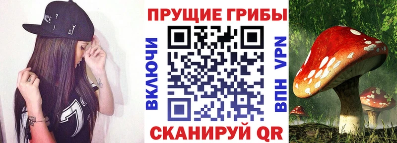 Псилоцибиновые грибы мухоморы наркошоп Барнаул